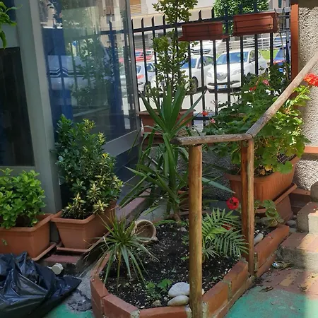 Piccolo Center 2* 피날레리구레